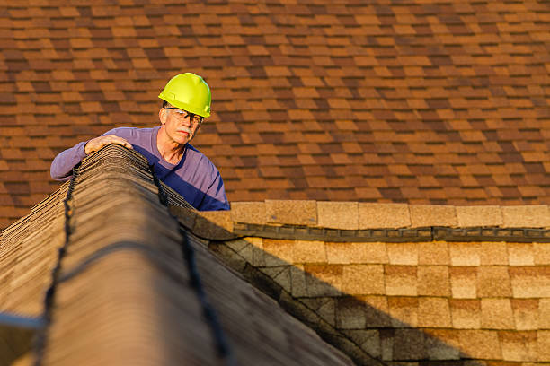 Best Metal Roofing Contractor  in Henderson, NV